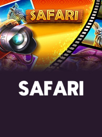 Safari